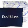 KoolBlues Umpire Chest Protector Cooling System